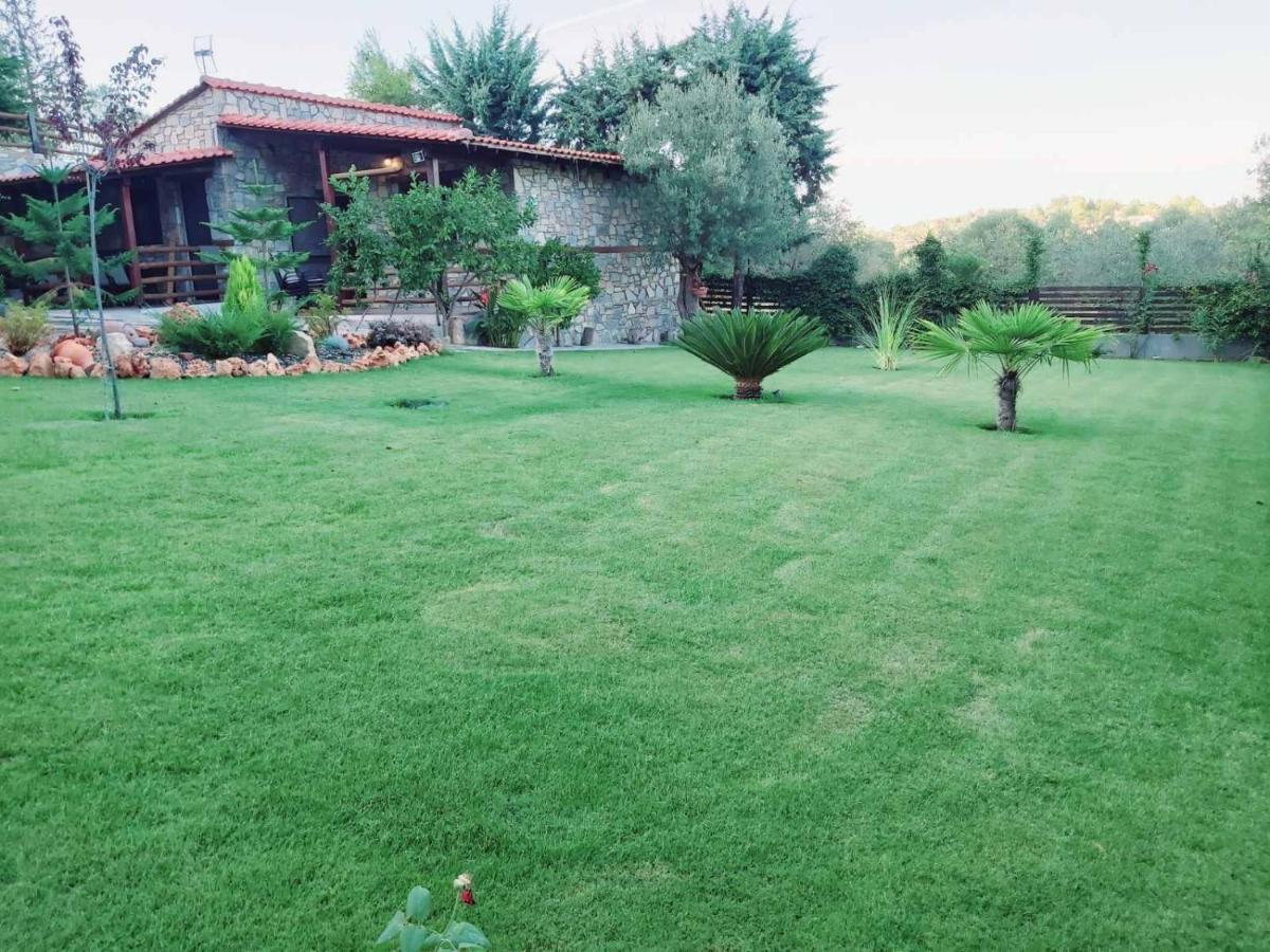 אורמוס פנגיאס Dimitris Villas - Villa 4 מראה חיצוני תמונה
